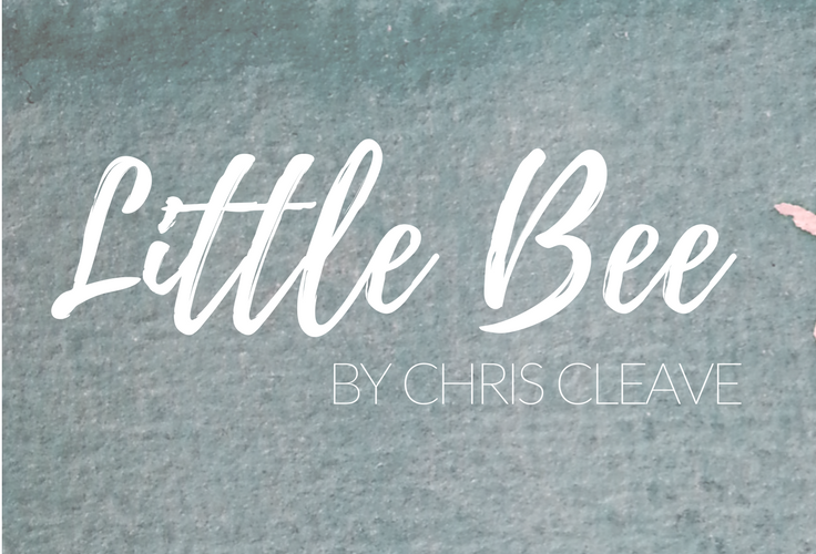Little Bee by Chris Cleave