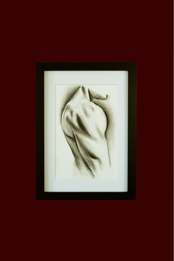 Charcoal drawing of a man's deltoid