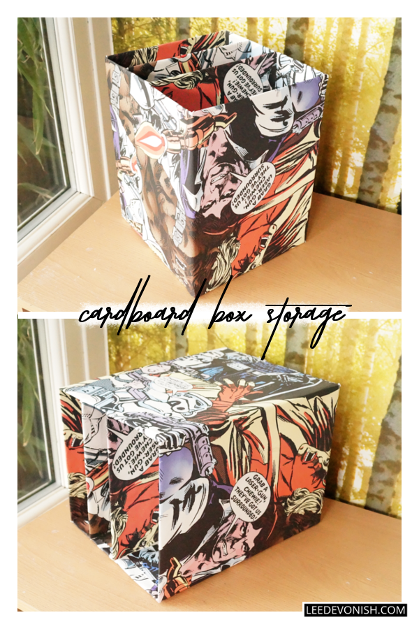 Colourful Cardboard Box Storage Ideas - Lee Devonish