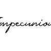 Impecunious etymology and meaning